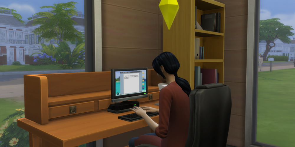 Sims at the laptop